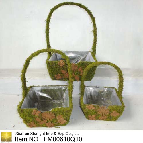 Moss Basket