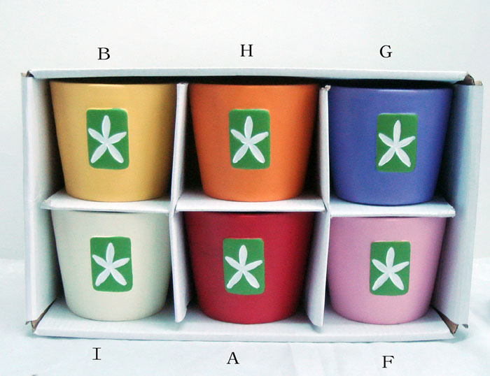 Ceramic Flower Pot