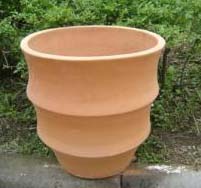 Terracotta Pot